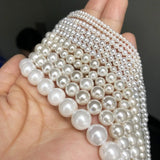 Natural Stone Bead Shell Beads 15 Inches Strand DIY Jewelry Making