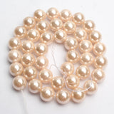 Natural Stone Bead Shell Beads 15 Inches Strand DIY Jewelry Making