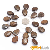 Bronzite Jaspers Teardrop Top-Drilled Bead 15 Inch