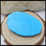 Natural Stone Carved Animal lizard Howlite Pendant Bead 50x34x10mm