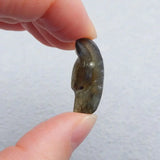 Labradorite Wolf Head Necklace Pendant 27x16x11mm