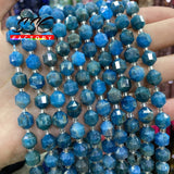 Natural Stone Faceted Apatite Spacer Charm Beads 8mm