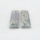Labradorite Rectangular Earrings 37x12x4mm for Women