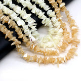 Mother of Pearl Shell Gravel Beads for Jewelry Making