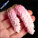 Raw Pink Coral Pendant Necklace Druzy Drusy Elestial Skeletal Cluster Specimen