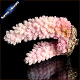 Raw Pink Coral Pendant Necklace Druzy Drusy Elestial Skeletal Cluster Specimen