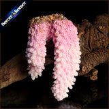Raw Pink Coral Pendant Necklace Druzy Drusy Elestial Skeletal Cluster Specimen