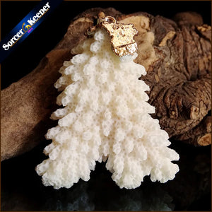 Raw Coral Pendant Necklace Druzy Drusy Elestial Skeletal Cluster Specimen