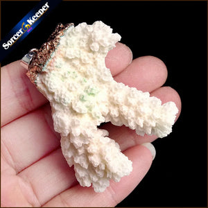 Natural Coral Pendant Necklace Druzy Drusy Cluster Specimen AA287
