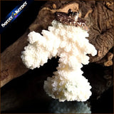 Coral Pendant Necklace Druzy Cluster Specimen