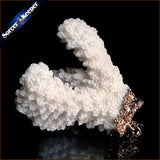Coral Pendant Necklace Druzy Elestial Cluster Specimen