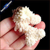 Coral Pendant Necklace Druzy Cluster Specimen