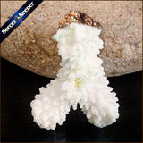Raw Coral Pendant Necklace Druzy Drusy Elestial Skeletal Cluster Specimen AA359