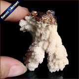 Natural Coral Pendant Necklace Druzy Drusy Cluster Specimen AA287