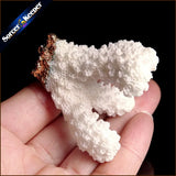 Coral Pendant Necklace Druzy Elestial Cluster Specimen