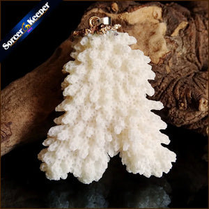 Raw Coral Pendant Necklace Druzy Drusy Elestial Skeletal Cluster Specimen