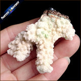 Natural Coral Pendant Necklace Druzy Drusy Cluster Specimen AA287
