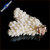 Raw Coral Pendant Necklace Druzy Drusy Elestial Skeletal Cluster Specimen