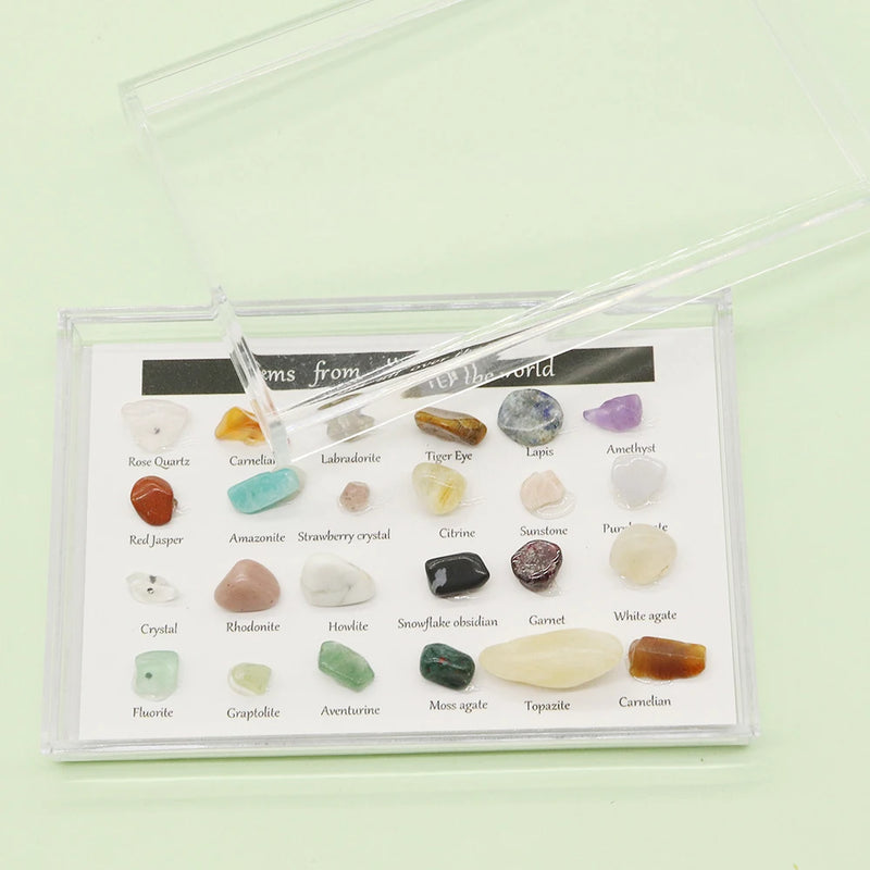 Natural Stone Samples Display Box 24 Pieces DIY Jewelry Making