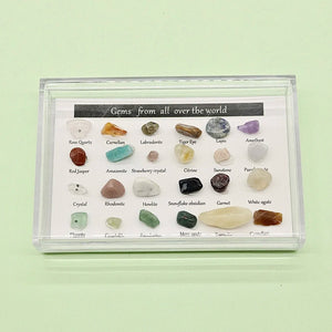 Natural Stone Samples Display Box 24 Pieces DIY Jewelry Making