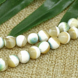 Natural Stripes Chinese Shell Beads For Jewelry Making DIY Charm Bracelet