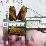 Tiger Eye Stone Cicadas Quartz Crystal Hand Carved Mineral Specimen