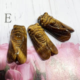 Tiger Eye Stone Cicadas Quartz Crystal Hand Carved Mineral Specimen