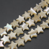 Natural Trochid Shell Star Beads Seawater Mother Of Pearl Jewelry Making