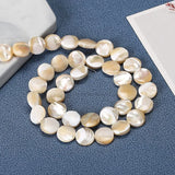 Trochus Shell Beads Leaf Shape Spacer Beads for Jewelry Making