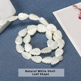 Trochus Shell Beads Leaf Shape Spacer Beads for Jewelry Making