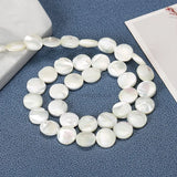 Trochus Shell Beads Leaf Shape Spacer Beads for Jewelry Making