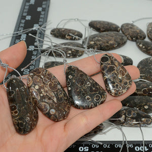 Natural Turritella Agate Mixed Irregular Pendants 30-50mm