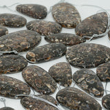Natural Turritella Agate Mixed Irregular Pendants 30-50mm