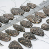 Natural Turritella Agate Mixed Irregular Pendants 30-50mm