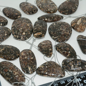 Natural Turritella Agate Mixed Irregular Pendants 30-50mm
