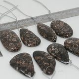 Natural Turritella Agate Mixed Irregular Pendants 30-50mm