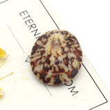 Natural Turtle Shell Spacer Beads Oval Shape for Jewelry Making