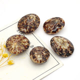 Natural Turtle Shell Spacer Beads Oval Shape for Jewelry Making