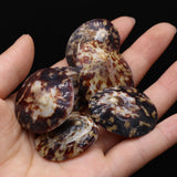 Natural Turtle Shell Spacer Beads Oval Shape for Jewelry Making