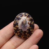 Natural Turtle Shell Spacer Beads Oval Shape for Jewelry Making