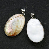 Abalone Shell Pendant Paua Gilding Necklace Earrings Charms