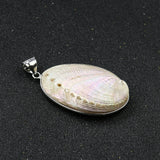 Abalone Shell Pendant Paua Gilding Necklace Earrings Charms