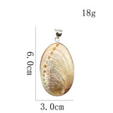 Abalone Shell Pendant Paua Gilding Necklace Earrings Charms