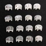 Butterfly Shell Carved Animal Beads Mother of Pearl Charm DIY Jewelry