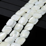 Horseshoe Snail Shell Mother Of Pearl Square Beads