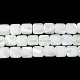 Horseshoe Snail Shell Mother Of Pearl Square Beads