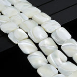Horseshoe Snail Shell Mother Of Pearl Square Beads