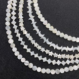 Mother Of Pearl Loose Beads 6-12mm for Jewelry Making
