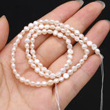 Natural Freshwater Pearl Bead for DIY Jewelry Making