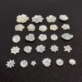Natural Pearl Beads Shell Flower Loose Bead Jewelry Making